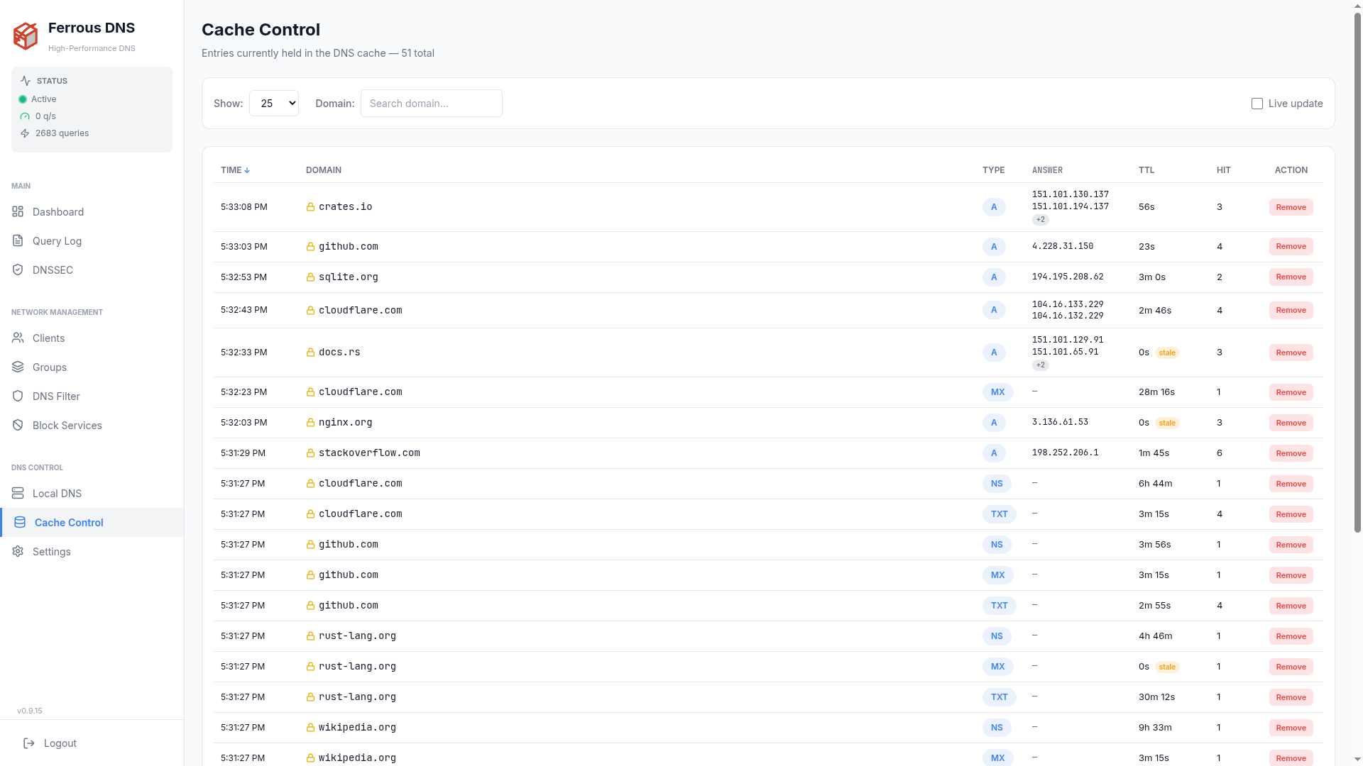 Cache Control — cached entries with insertion time, domain, type, answer, remaining TTL, hit count and a per-entry Remove action