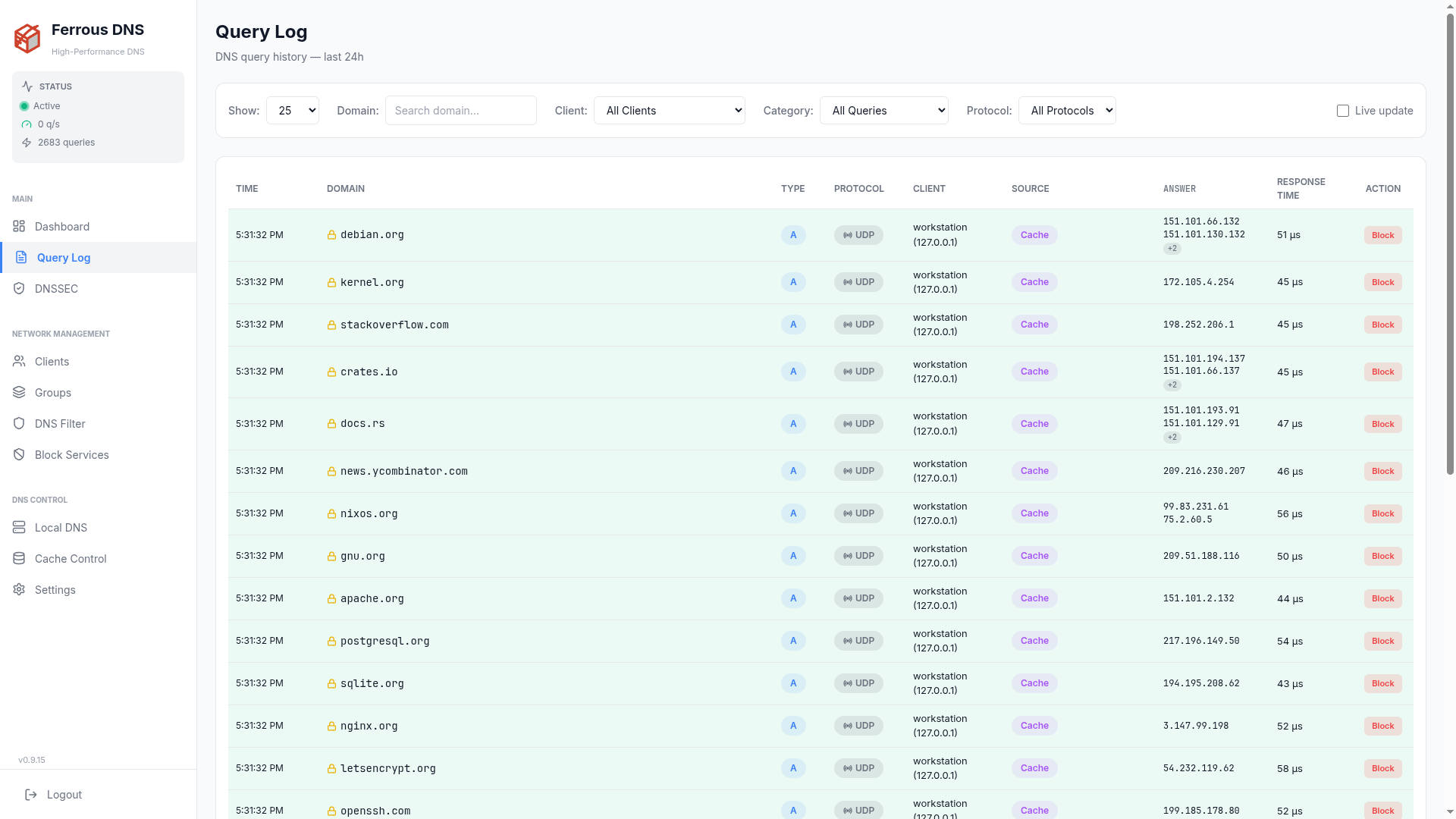 Query log — one row per query with type, protocol, client, source, answer and response time; blocked rows are highlighted