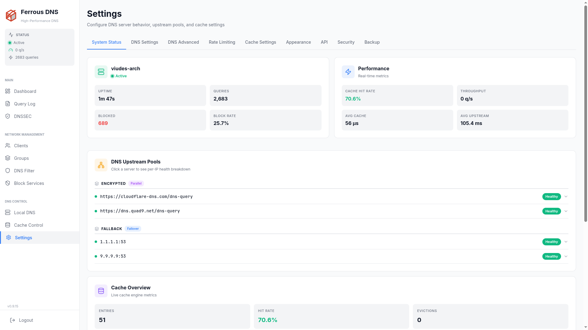 Settings — the System Status tab with server and performance metrics, upstream pool health, and the cache overview